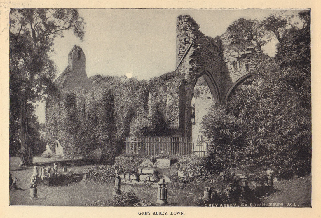 Grey Abbey, Down. Ireland 1905 old antique vintage print picture